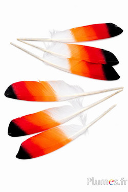 Oca - 24-28 cm - bianco-giallo-arancione-rosso-nero